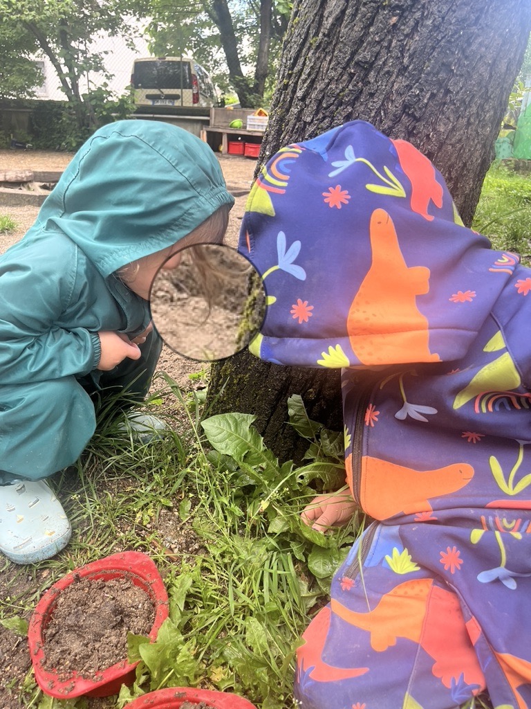 Enfants explorant la nature