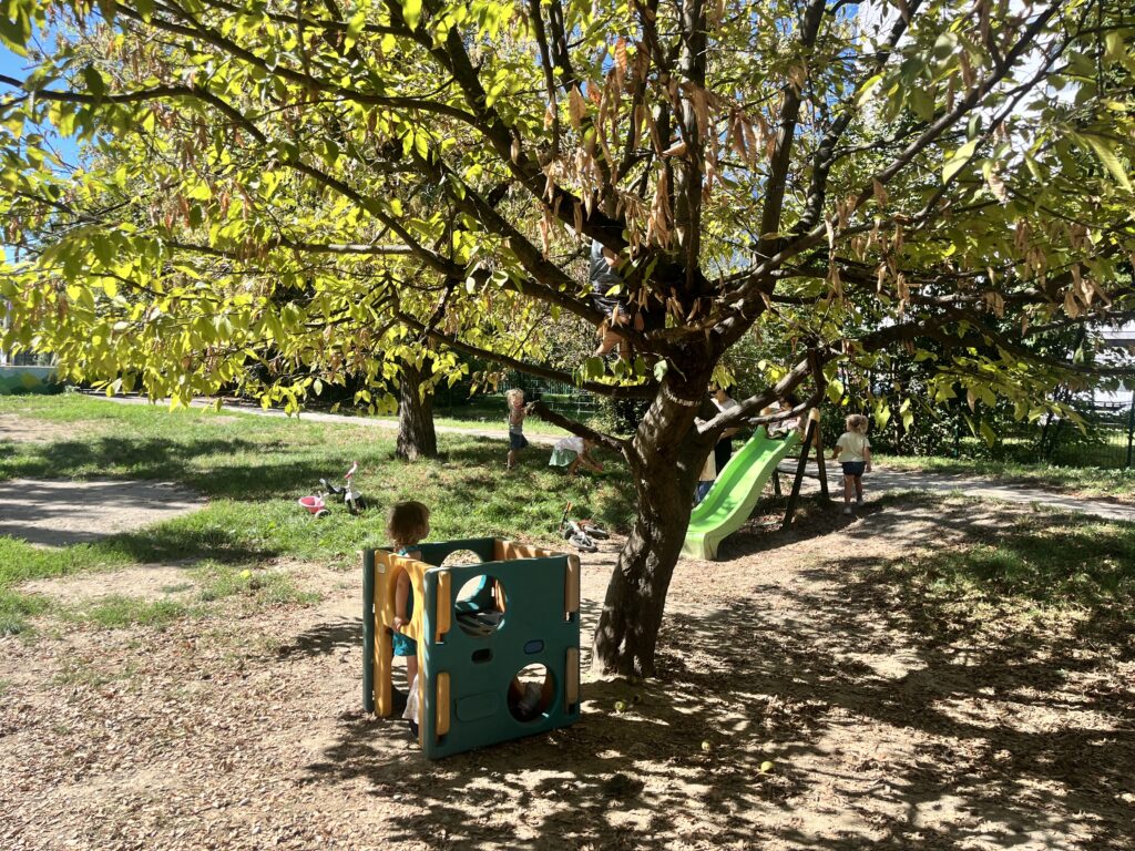Lire la suite à propos de l’article 38e rentrée dans notre école Montessori à Grenoble 🌱