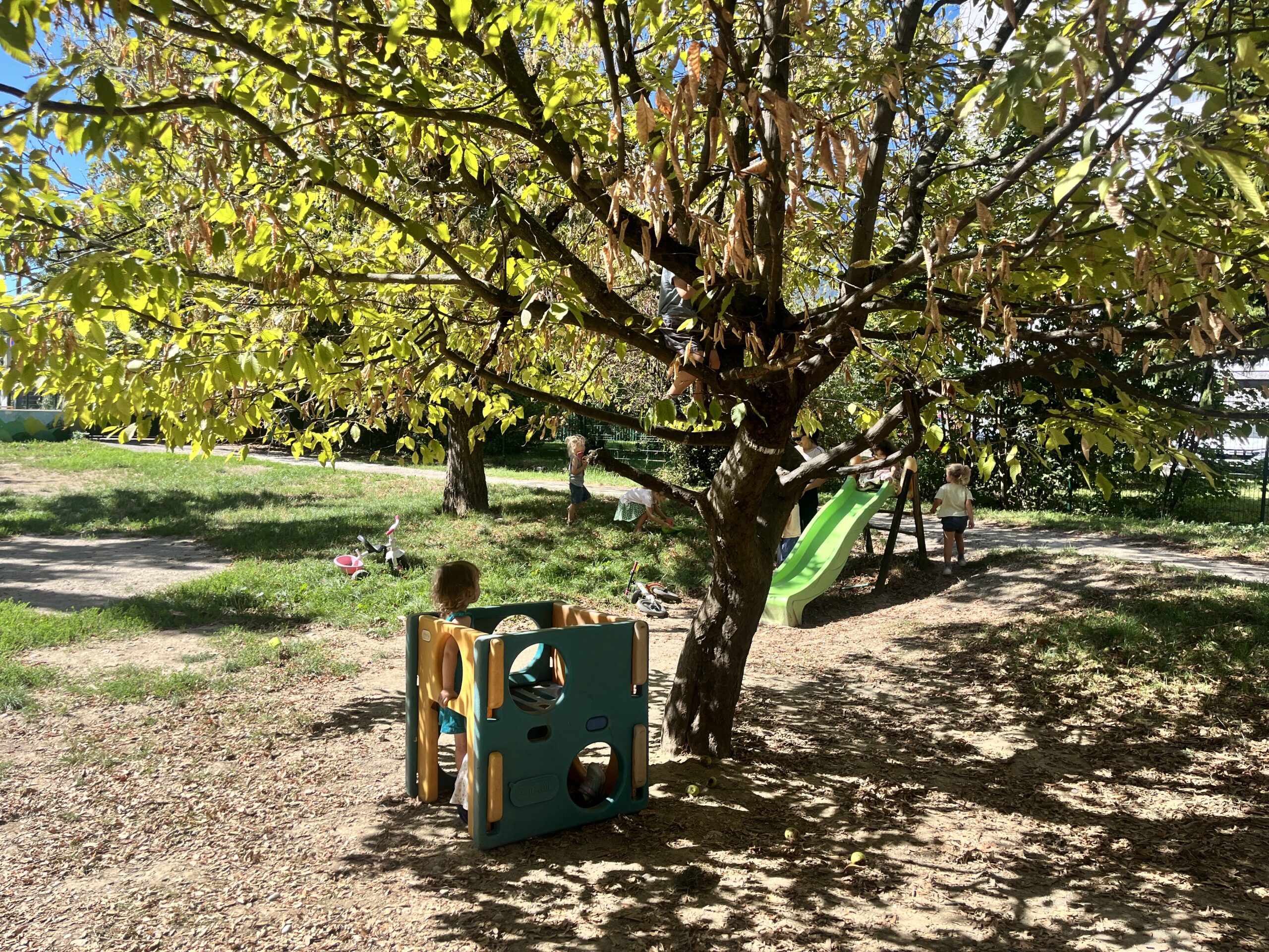 You are currently viewing 38e rentrée dans notre école Montessori à Grenoble 🌱